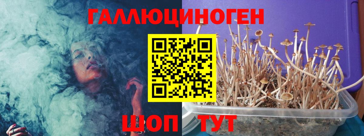 Псилоцибиновые грибы прущие грибы  Вход с VPN  Псилоцибиновые грибы мухоморы  Ангарск 